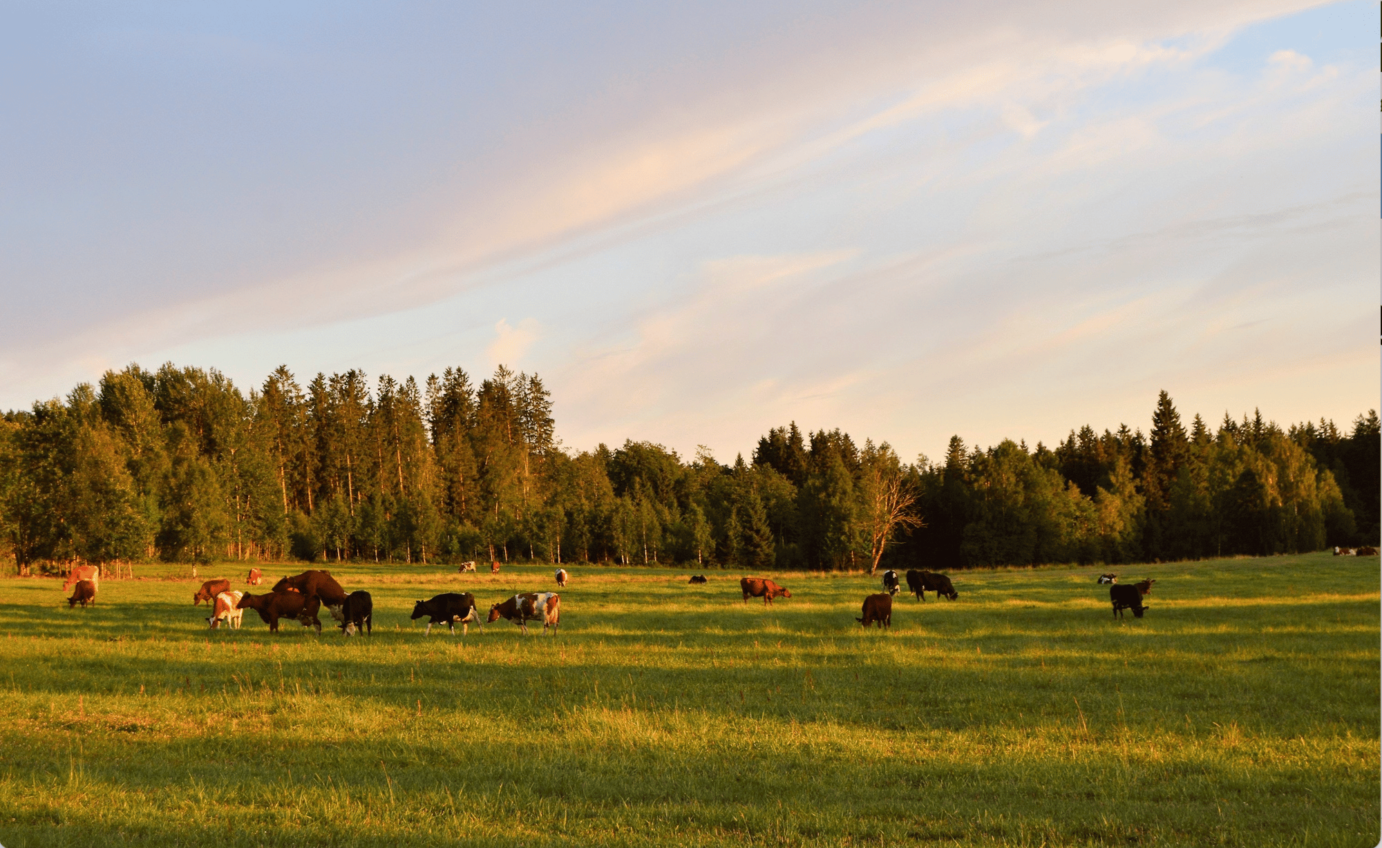 Screenshot 2023-05-09 at 3.49.58 PM